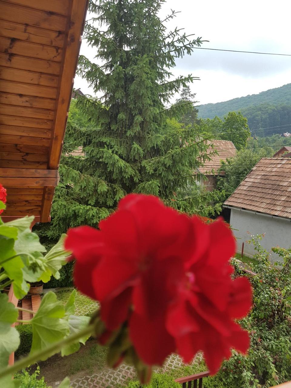Pensiunea Lorincz *** Panzio Sovata Luaran gambar