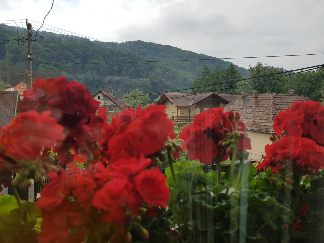 Pensiunea Lorincz *** Panzio Sovata Luaran gambar
